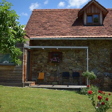 Ferienhaus Rustica Appartement Rohrbach am Kulm Buitenkant foto